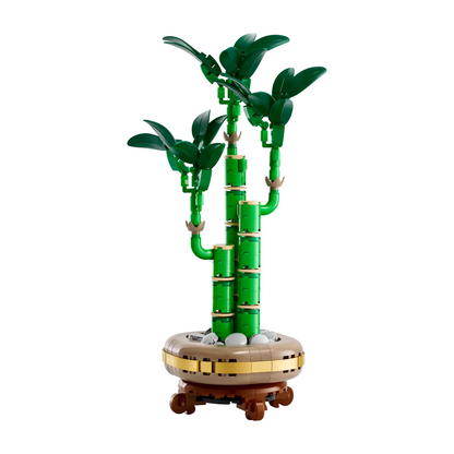 LEGO - Le Bambou de la Chance Botanicals 10344-lucky-bamboo-costco-2510344-3