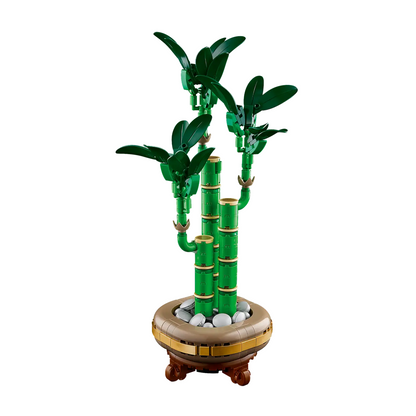 LEGO - Le Bambou de la Chance Botanicals 10344-lucky-bamboo-costco-2510344-4