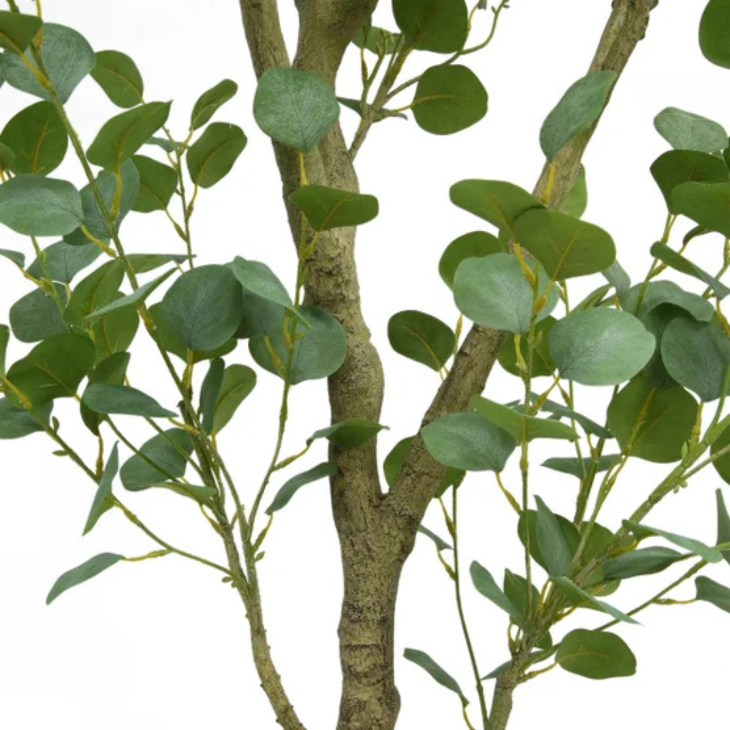 CGH - Eucalyptus Artificiel de 1,9 m *Boite Ouverte*-lifelike-faux-tree-6.6 ft- costco-1695603-5