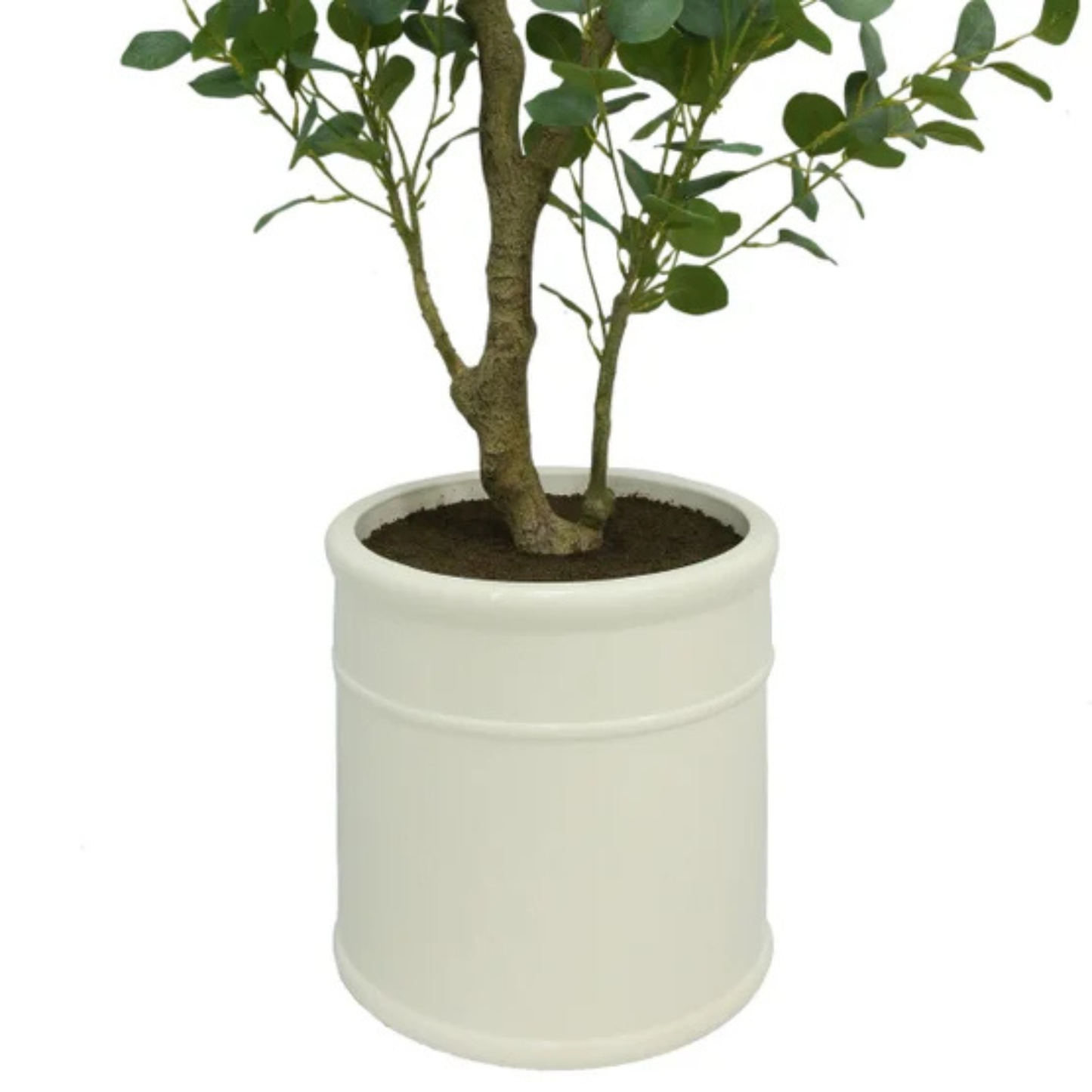 CGH - Eucalyptus Artificiel de 1,9 m *Boite Ouverte*-lifelike-faux-tree-6.6 ft- costco-1695603-6