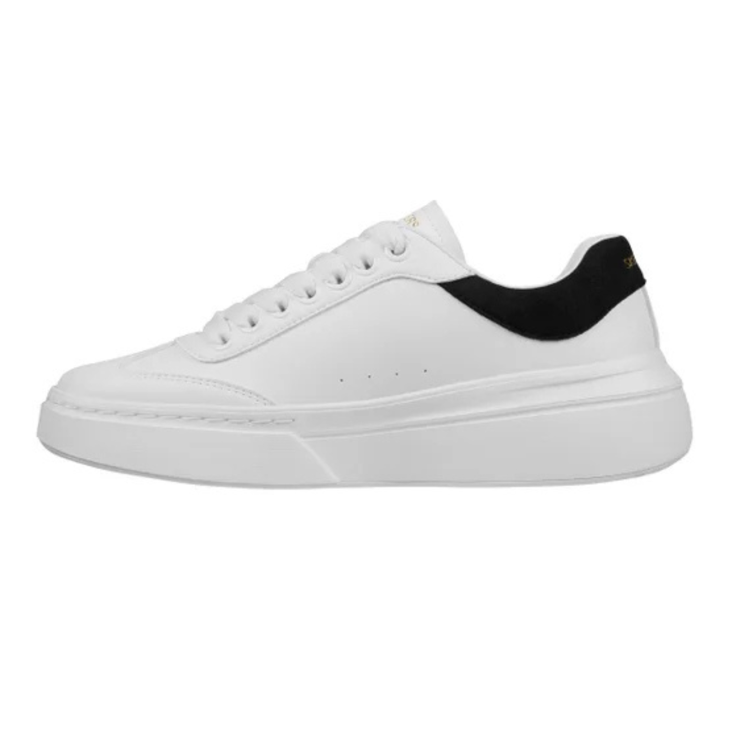 SKECHERS - Chaussures pour Femme-Womens-Shoe-Cordova-Blanc-White-9886006-9886007-2000970