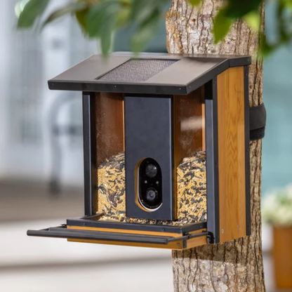 EVERGREEN - Mangeoire Solaire Intelligente-Solar-Smart-Bird-Feeder-1807218