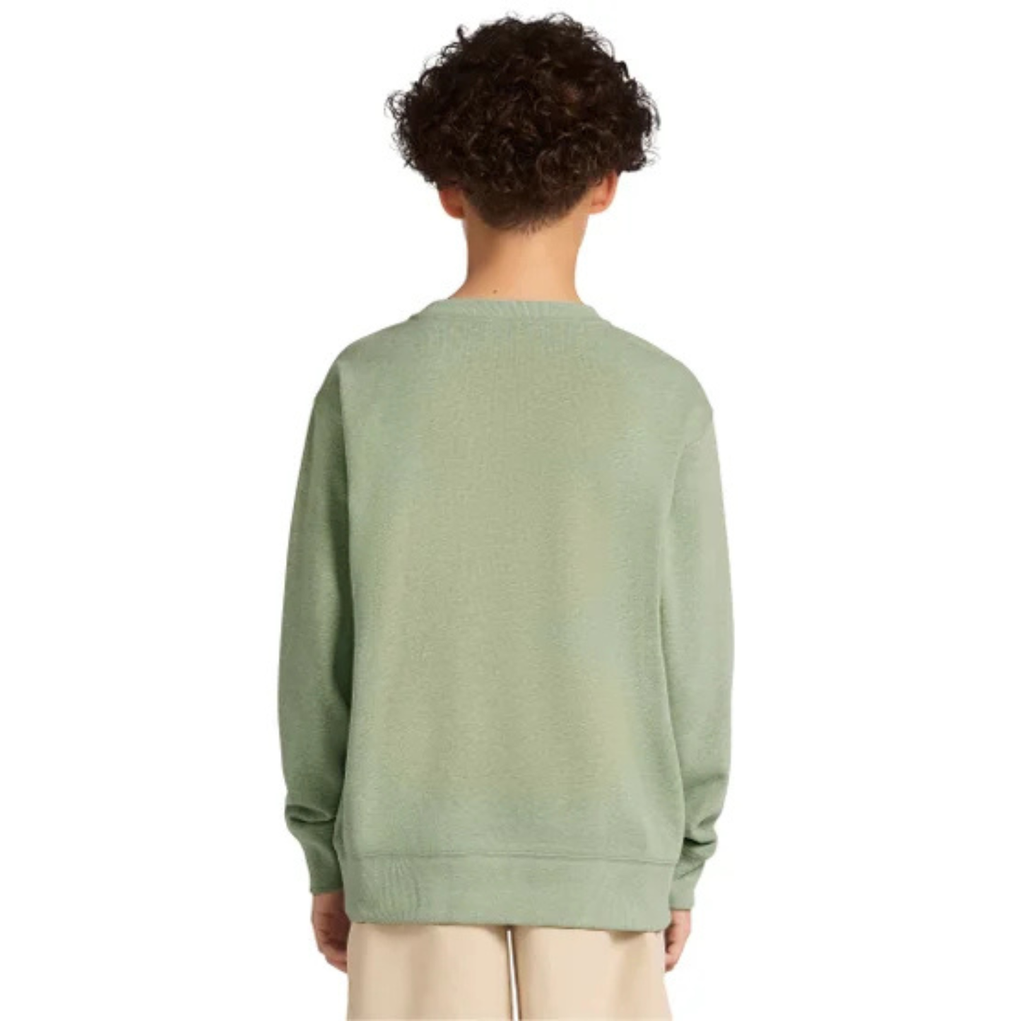 GAP KIDS - Chandail en Molleton Léger pour Garçon-Boys-Crewneck-Sweatshirt-Vert-Green-4541616-1990290