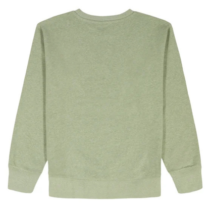 GAP KIDS - Chandail en Molleton Léger pour Garçon-Boys-Crewneck-Sweatshirt-Vert-Green-4541616-1990290