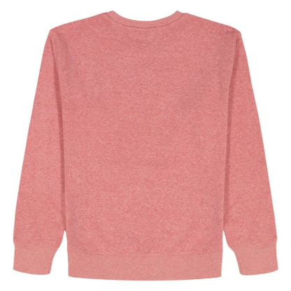 GAP KIDS - Chandail en Molleton Léger pour Garçon-Boys-Crewneck-Sweatshirt-Rouge-Red-4541616-1990291