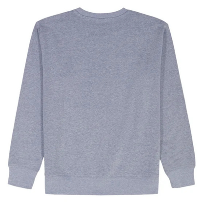 GAP KIDS - Chandail en Molleton Léger pour Garçon-Boys-Crewneck-Sweatshirt-Bleu-Blue-4541616-1990292