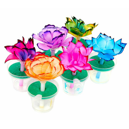 crayola-trousse-expérience-scientifique-fleurs-papillons-papier-steam-paper-flowers-butterflies-science-kit-3