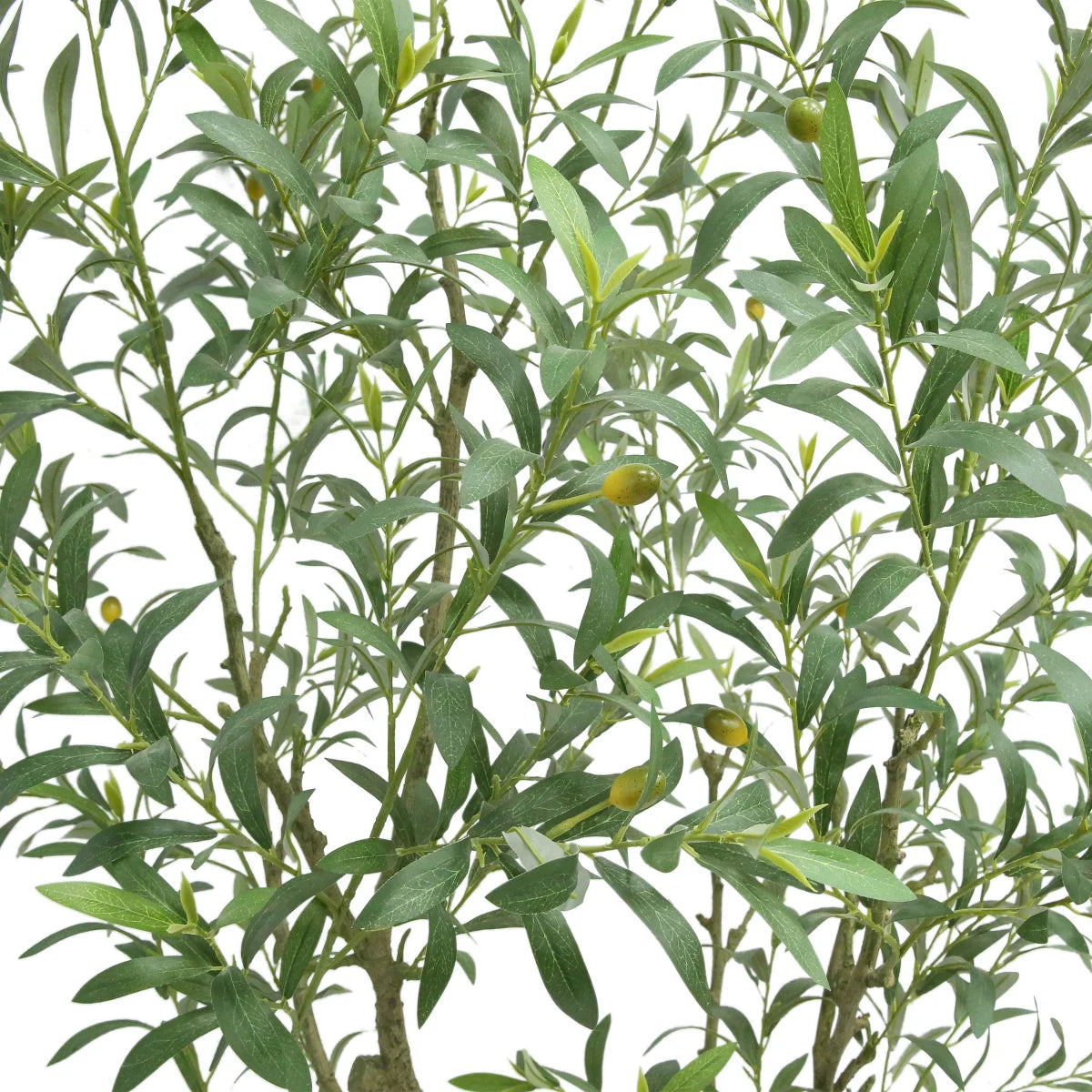 CGH - 6.5 ft Faux Olive Tree