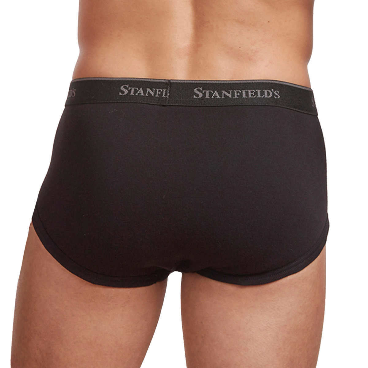 stanfield's-paquet-6-caleçons-classiques-classic-briefs-pack-3