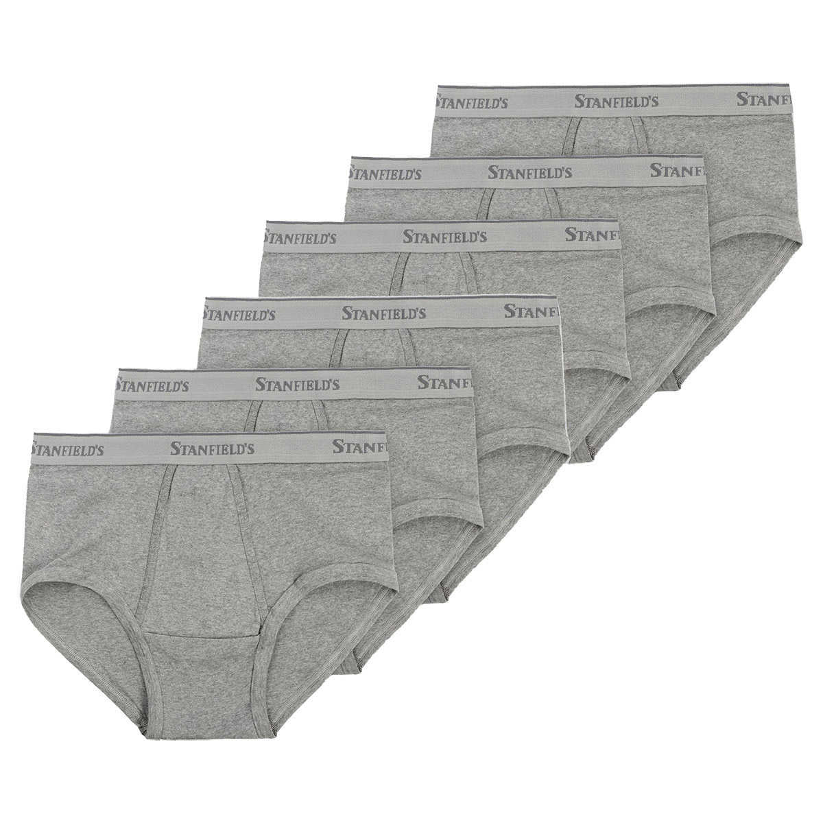 stanfield's-paquet-6-caleçons-classiques-classic-briefs-pack-4