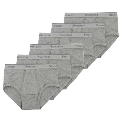 stanfield's-paquet-6-caleçons-classiques-classic-briefs-pack-4